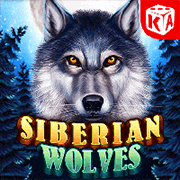 Siberian Wolf